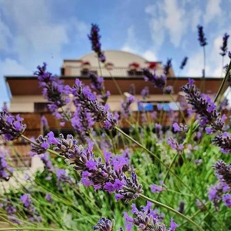 Hotel B&B Chamberlain Milna  Dış mekan fotoğraf